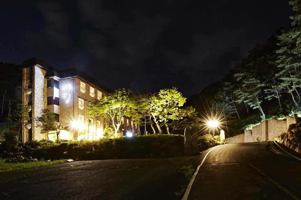 Hotel Namoo Cheong-Ju Cheongju Værelse billede